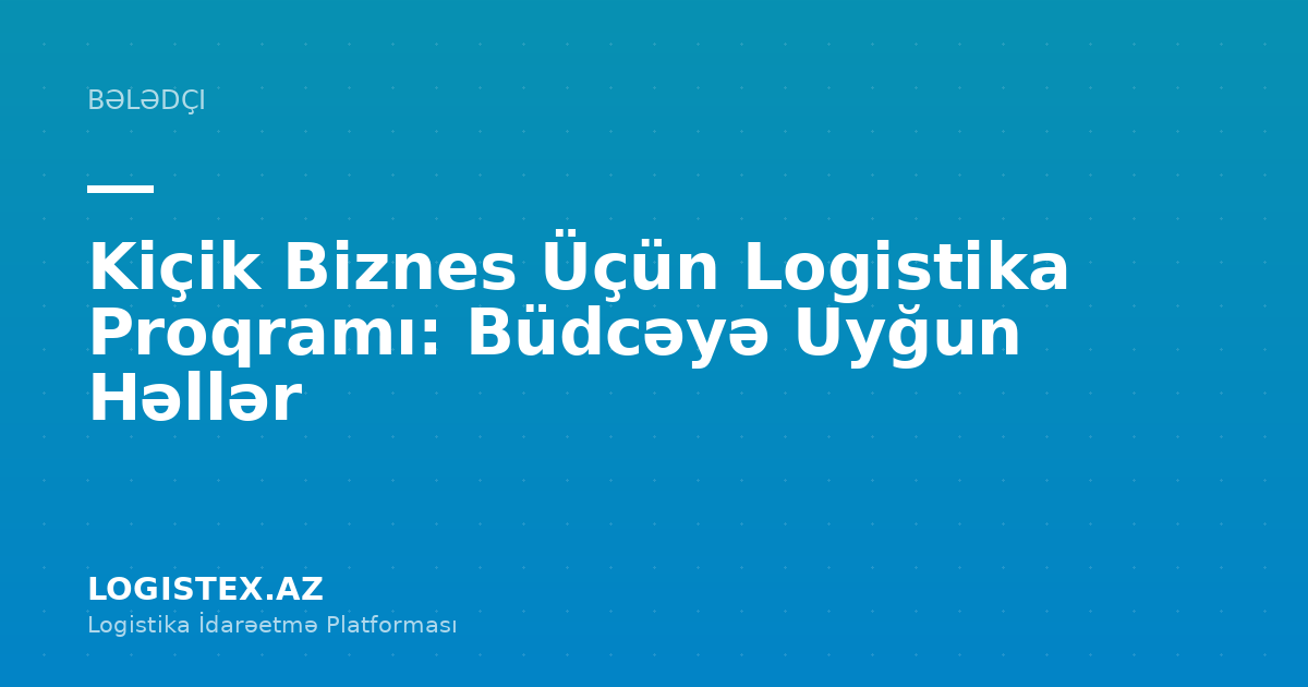 Kiçik Biznes Üçün Logistika Proqramı: Büdcəyə Uyğun Həllər — Logistex Blog