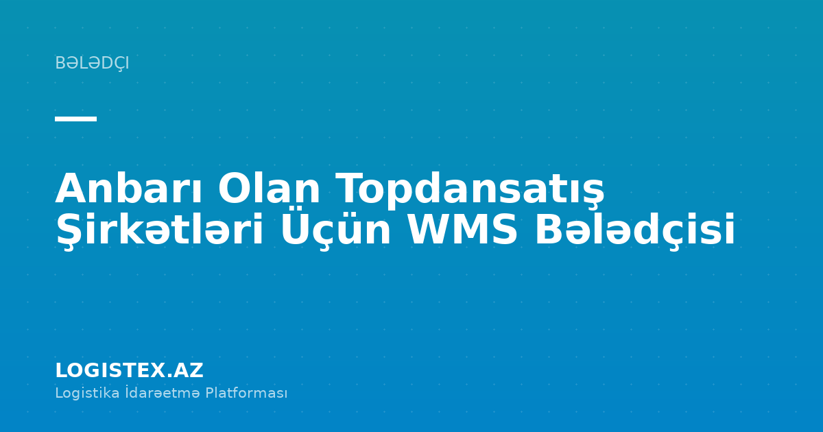 Anbarı Olan Topdansatış Şirkətləri Üçün WMS Bələdçisi — Logistex Blog